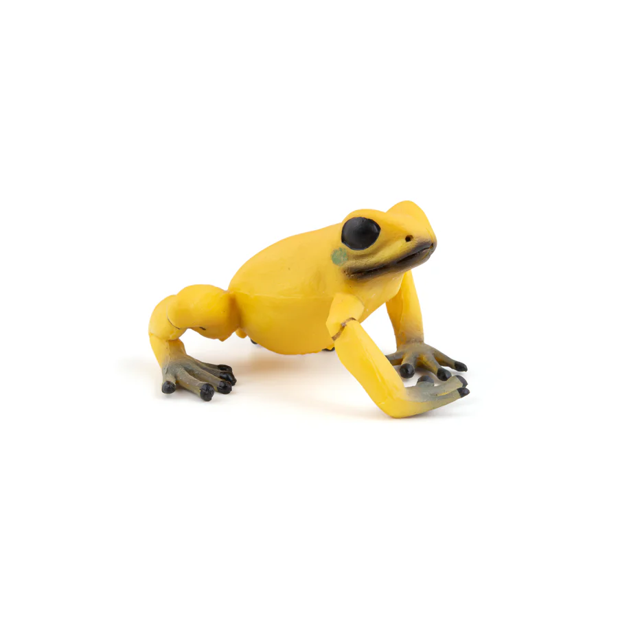 PAPO RANA GIALLA 50174