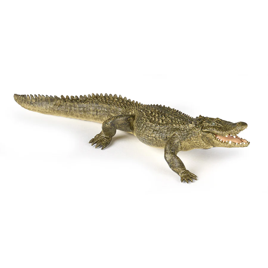 PAPO ALLIGATORE 50254