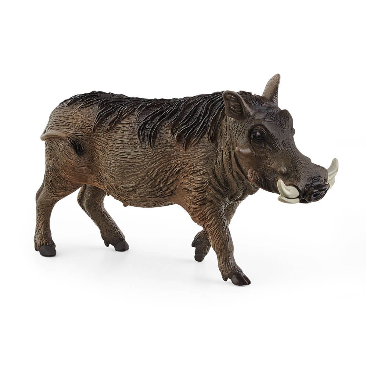 SCHLEICH  FACOCERO 14843