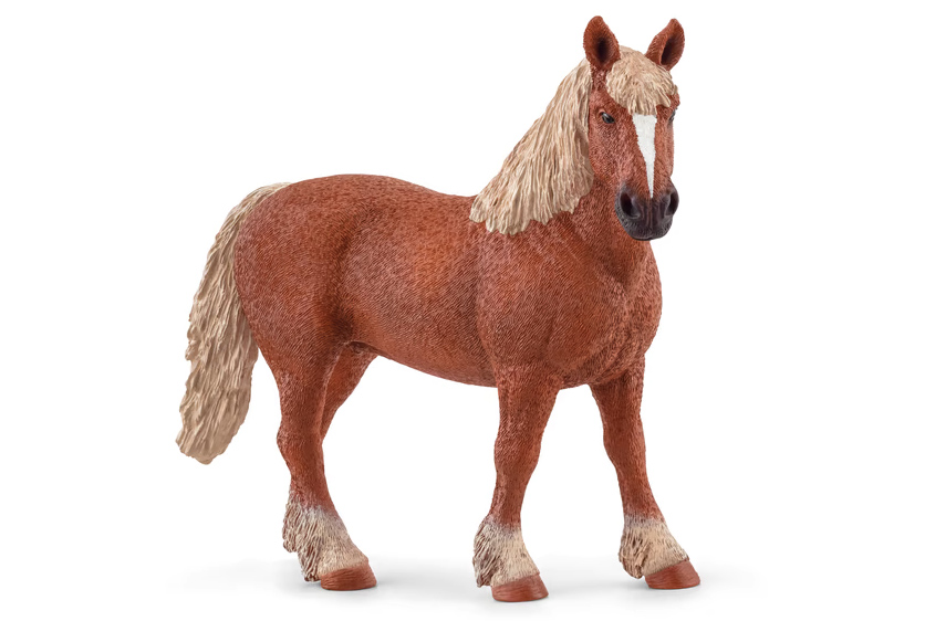 SCHLEICH CAVALLA BELGA 13941