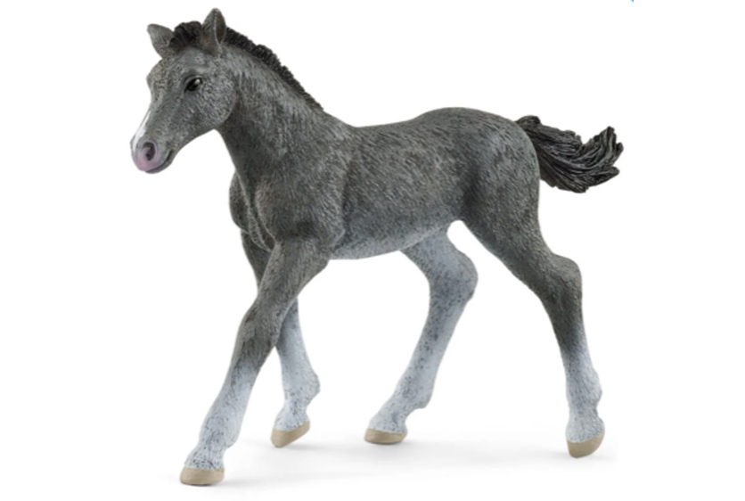 SCHLEICH TRAKEHNER FOAL 13944