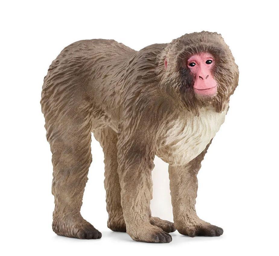 SCHLEICH MACACO GIAPPONESE 14871