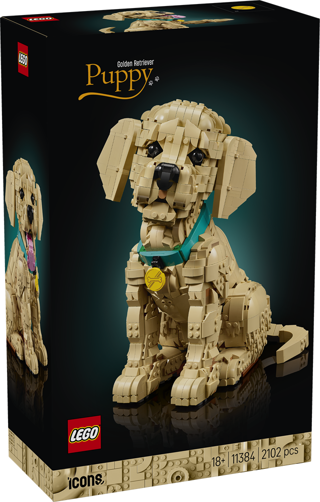 LEGO ICONS CUCCIOLO DI GOLDEN RETRIEVER 11384
