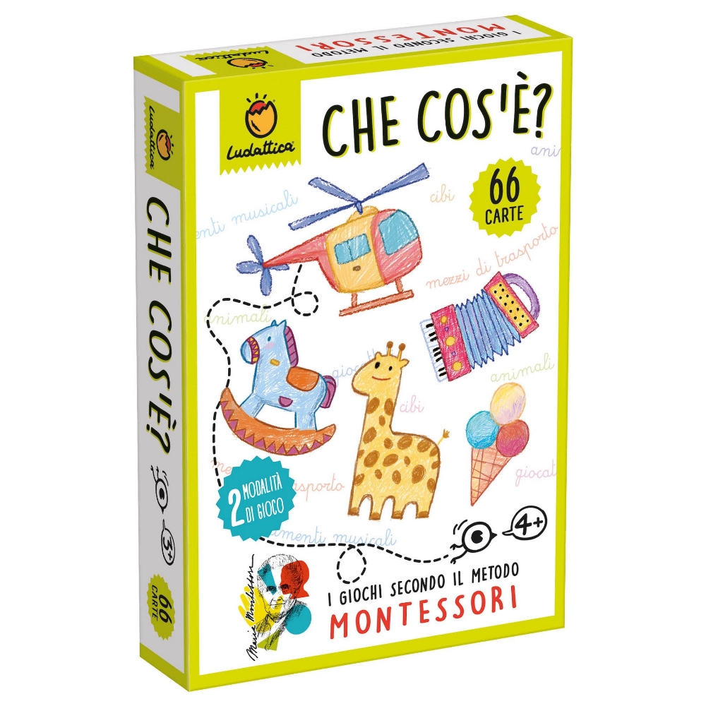 LUDATTICA CARTE MONTESSORI - CHE COS'E'? 82001