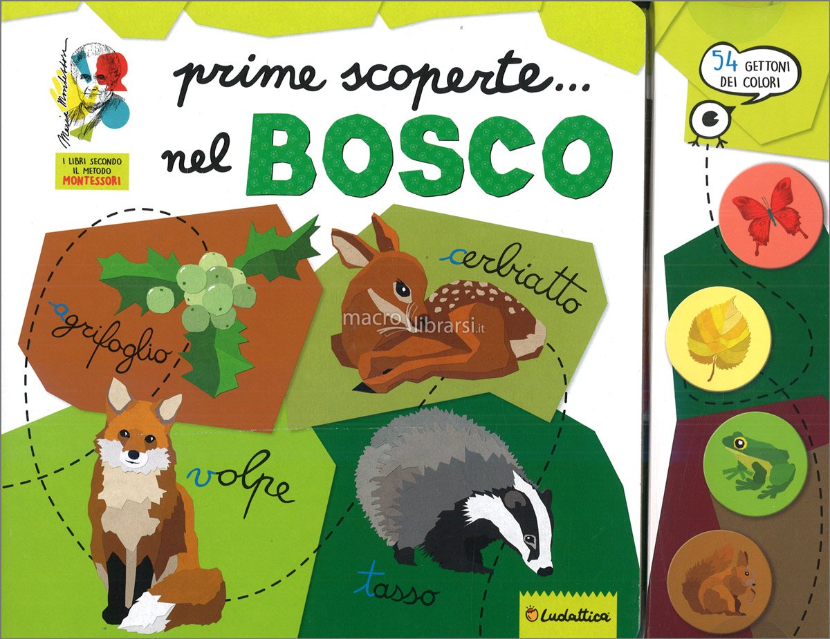 LISCIANI GIOCHI ALLA SCOPERTA... DEL BOSCO 12631 MONTESSORI