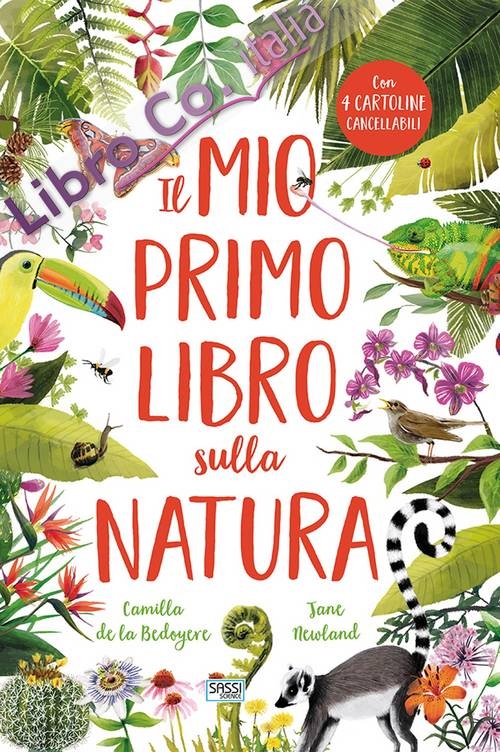 SASSI EDITORE IL MIO PRIMO LIBRO SULLA NATURA C. de La Bedoyere, J. Newland