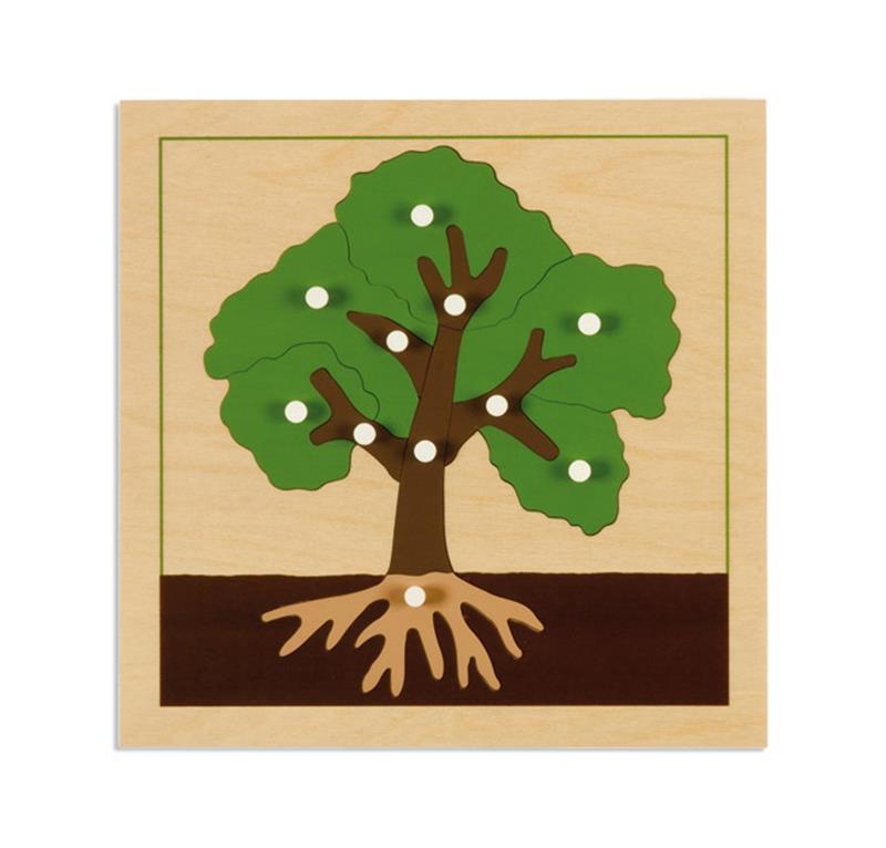 MONTESSORI INCASTRO DELL’ALBERO