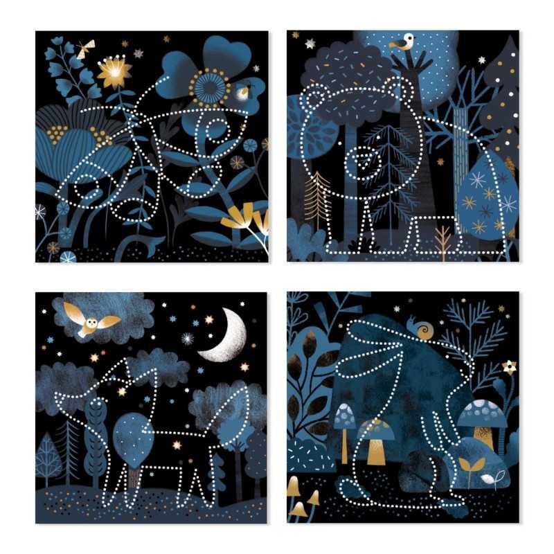 DJECO IMAGE REVEAL DJ00087