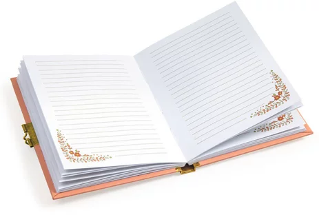 DJECO MINICO SECRET NOTEBOOK DJ06998