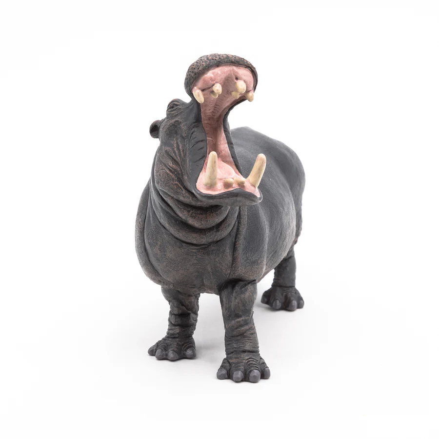 PAPO IPPOPOTAMO  50051
