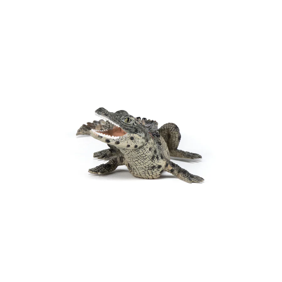 PAPO CUCCIOLO DI COCCODRILLLO 50137