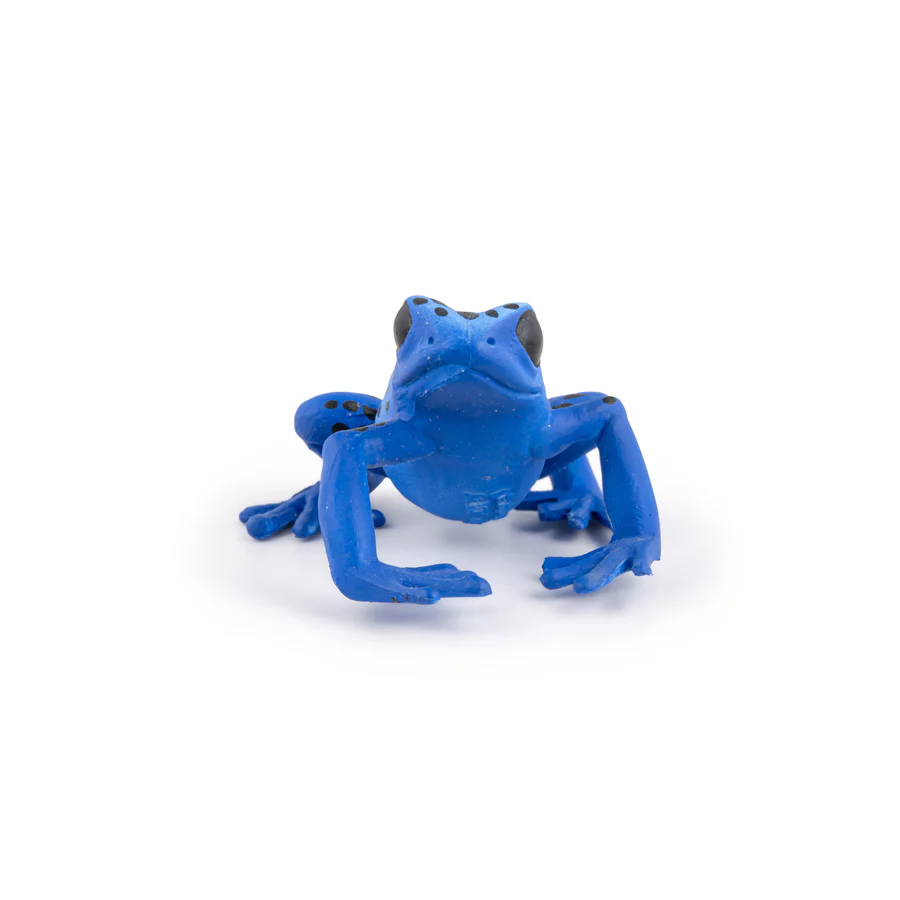 PAPO RANA BLU 50175