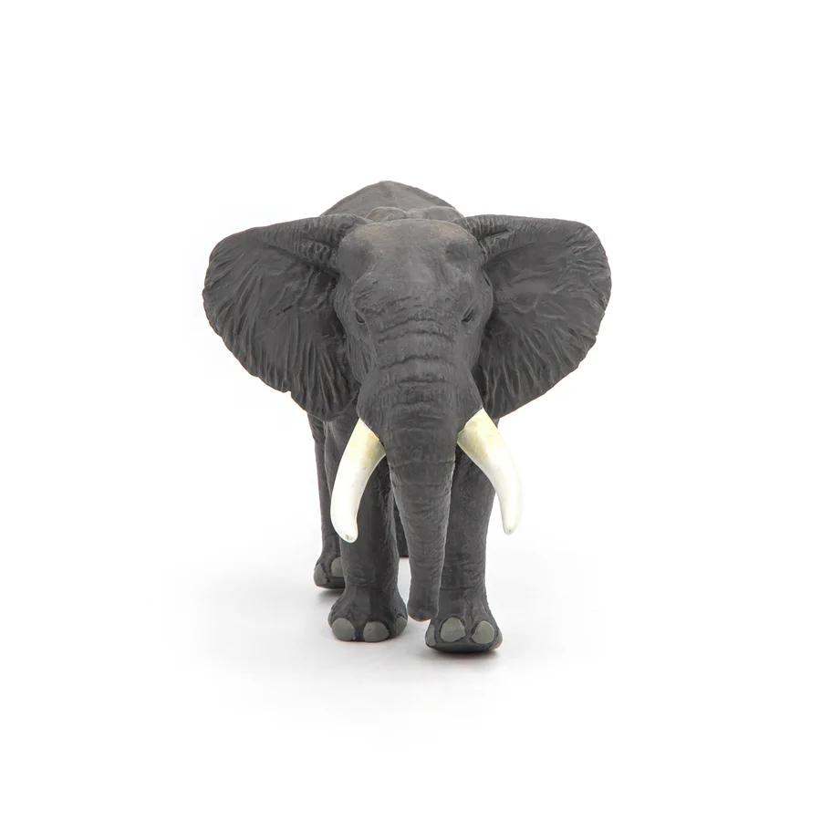 PAPO ELEFANTE AFRICANO 50192
