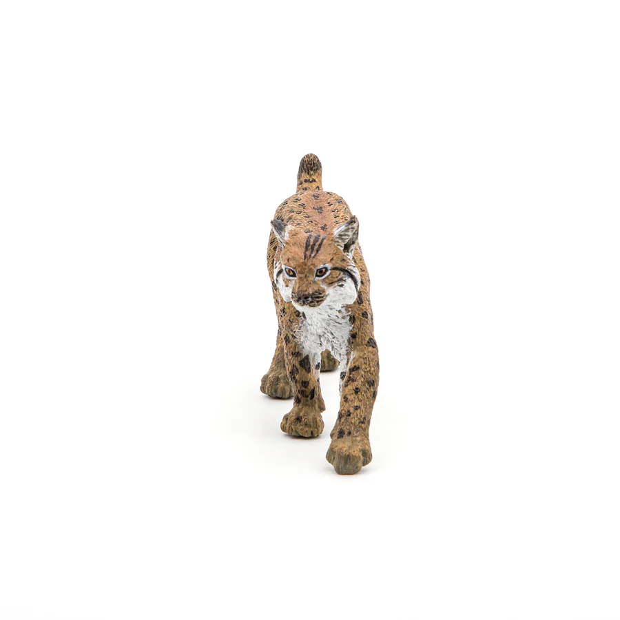 PAPO LINCE 50241