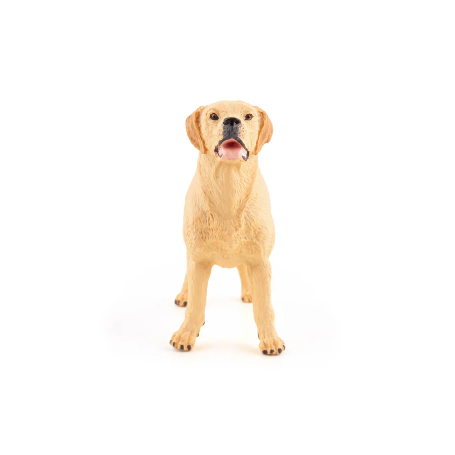 PAPO LABRADOR 54029