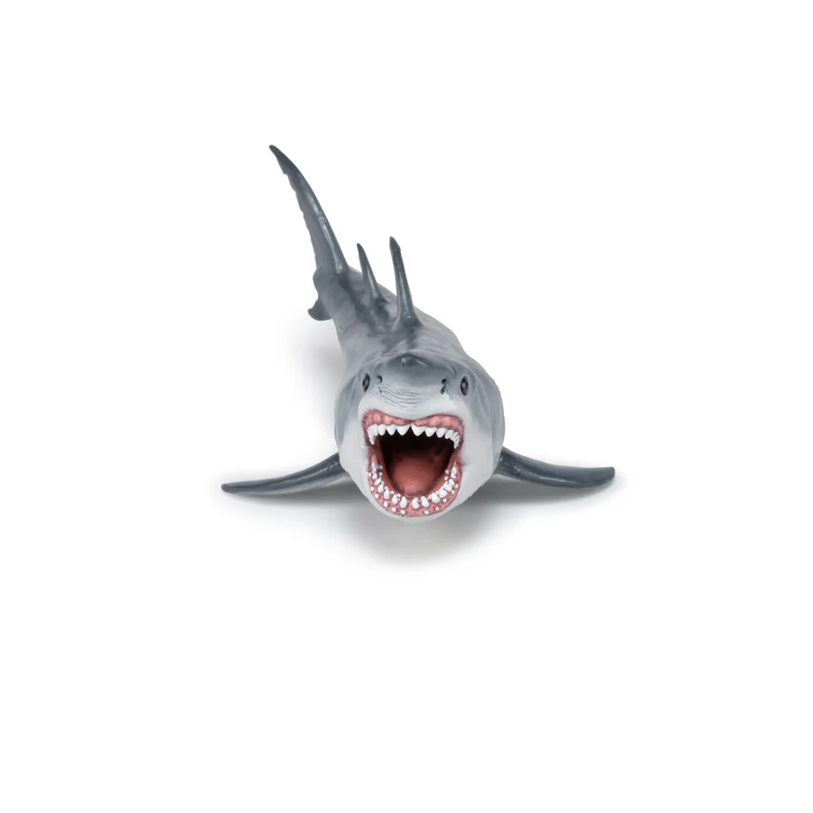PAPO MEGALODONTE 55087