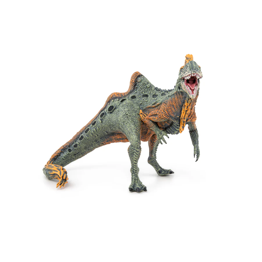 PAPO CONCAVENATOR 55096