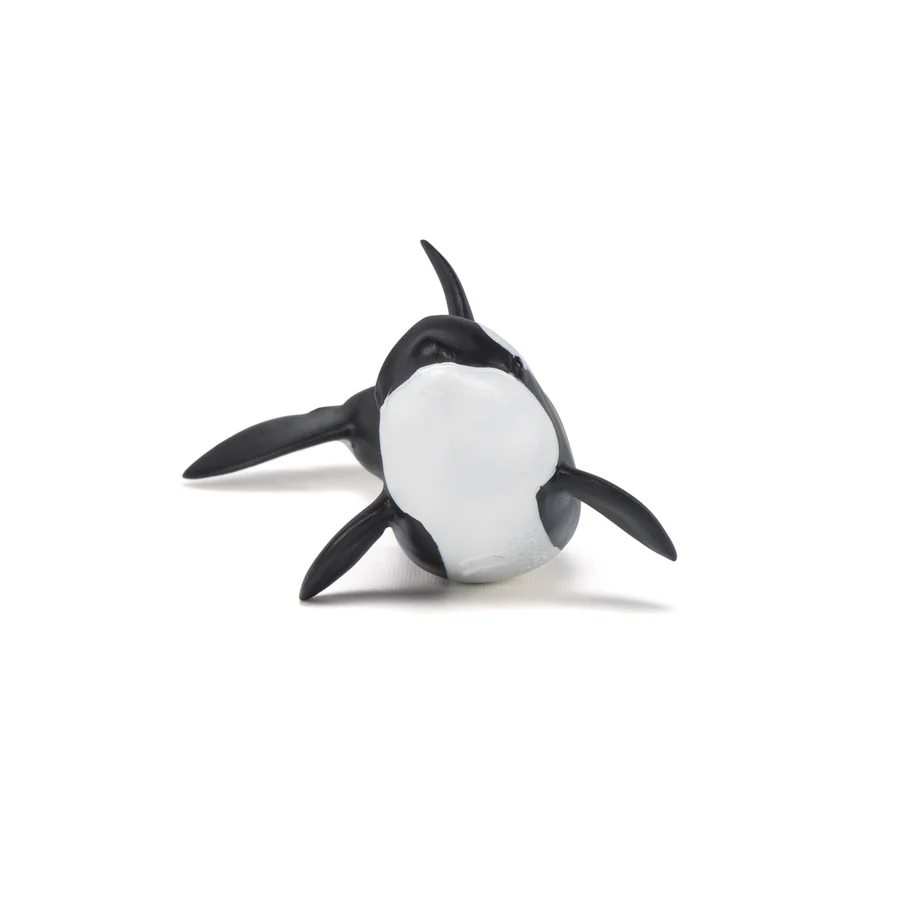PAPO GIOVANE ORCA 56040