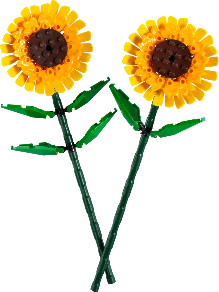 LEGO ICONIC GIRASOLI 40524