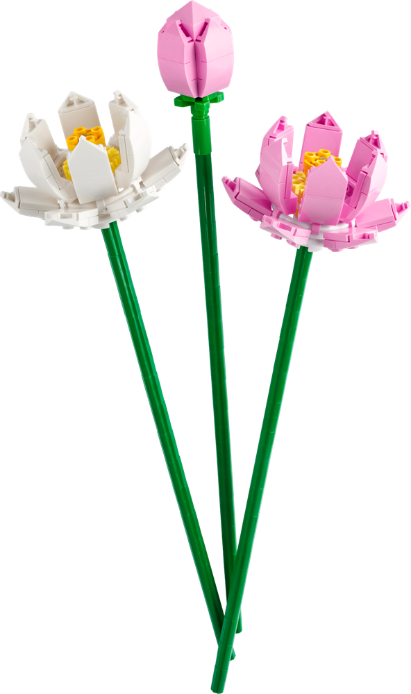 LEGO ICONIC FIORI DI LOTO 40647