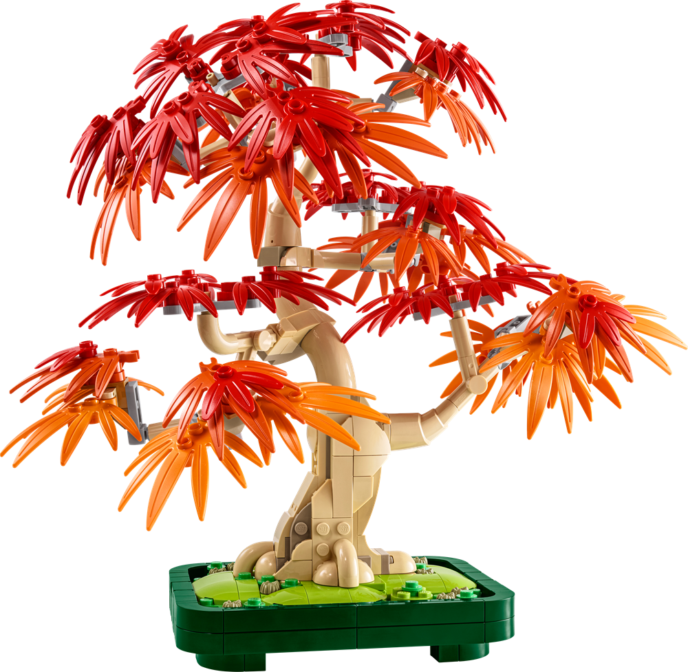 LEGO BOTANICALS BONSAI DI ACERO ROSSO GIAPPONESE 10348