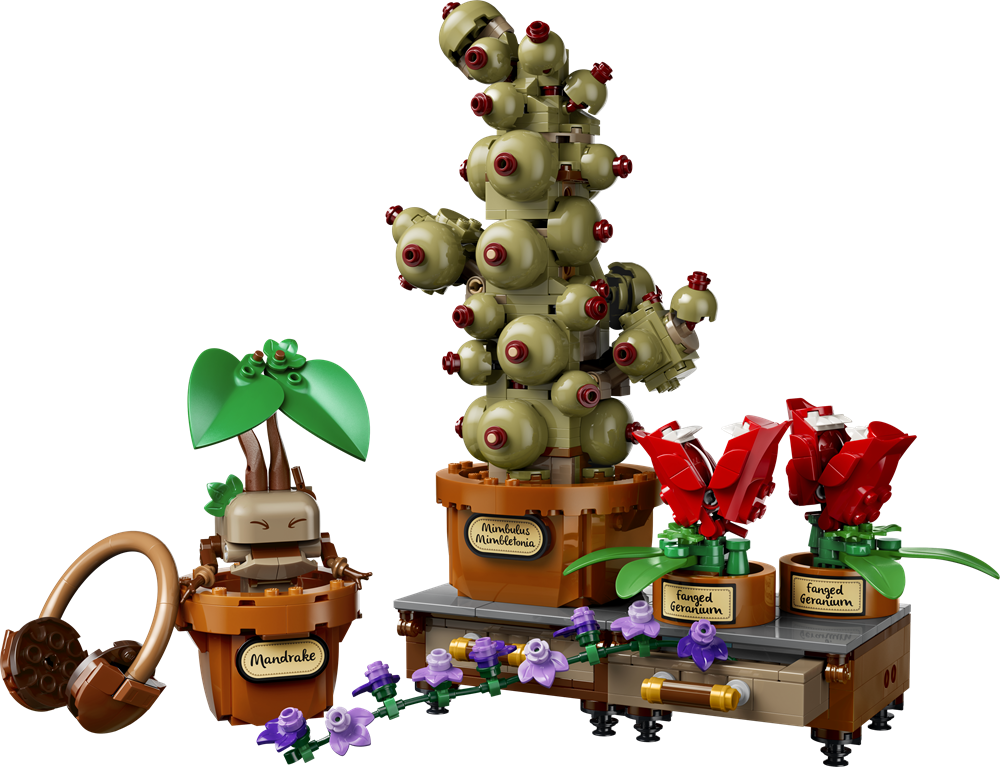 LEGO HARRY POTTER TM PIANTE DI ERBOLOGIA DI HOGWARTS™ 76474