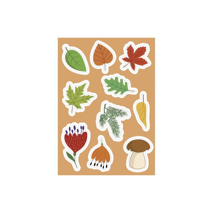 SASSI EDITORE ACTIVITY BOOKS - LA NATURA - ITALIANO (R. MARCOLIN, FUORINORMA DI MATTEO GAULE)