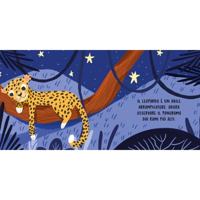 SASSI EDITORE DOLCI STORIE SONORE - GLI ANIMALI DELLA NOTTE