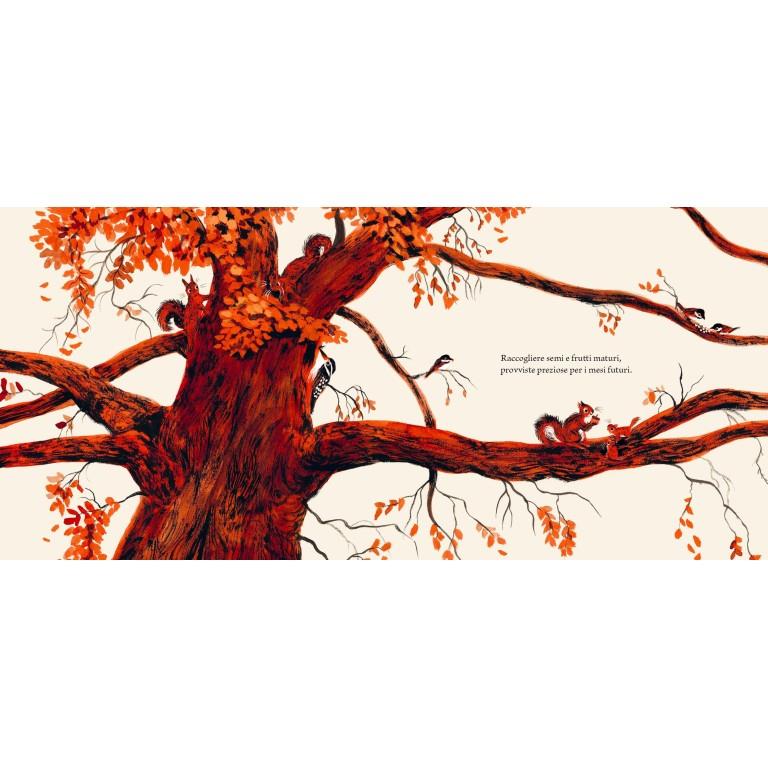 SASSI EDITORE PICTURE BOOKS - TESORI D'AUTUNNO - GATHER GRATEFUL