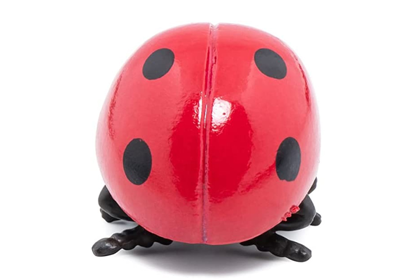 PAPO COCCINELLA 50257