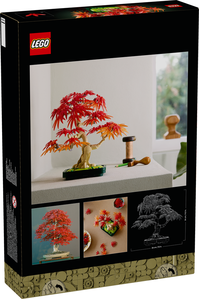 LEGO BOTANICALS BONSAI DI ACERO ROSSO GIAPPONESE 10348