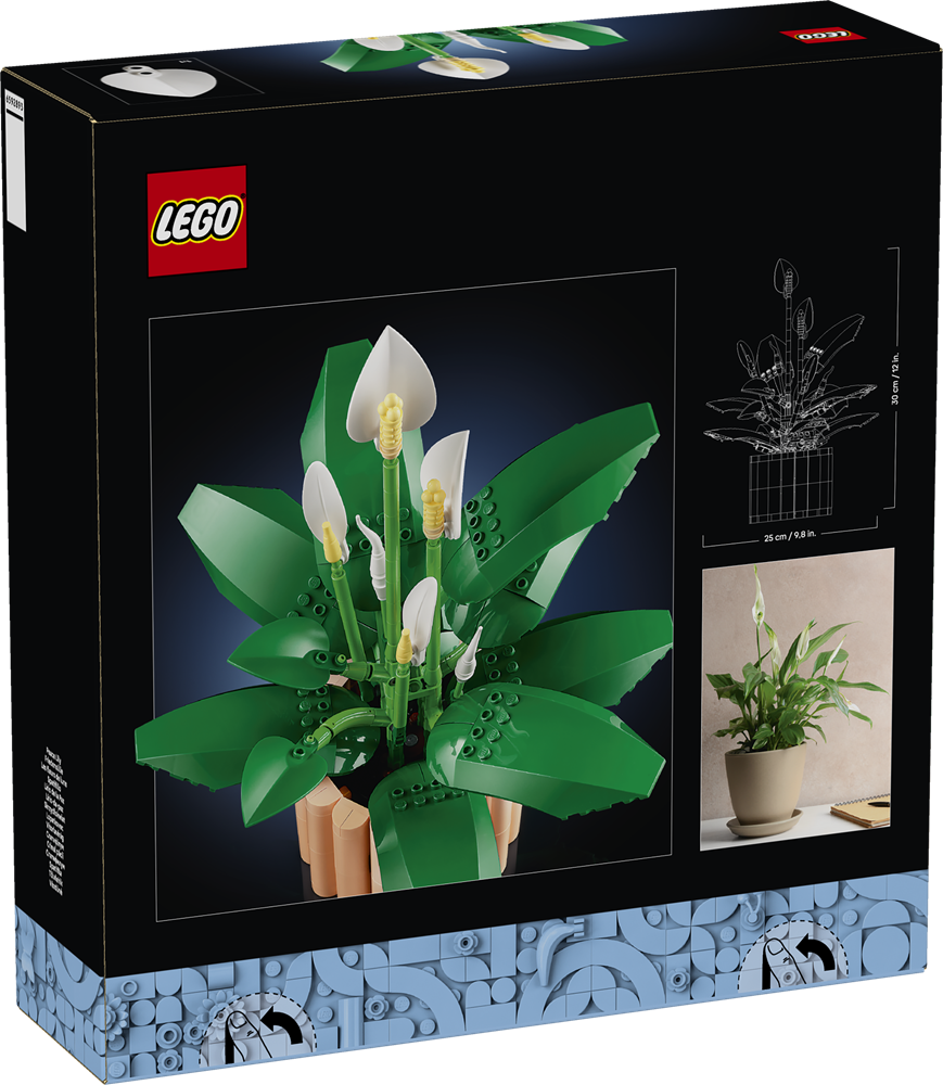 LEGO BOTANICALS SPATIFILLO 11504