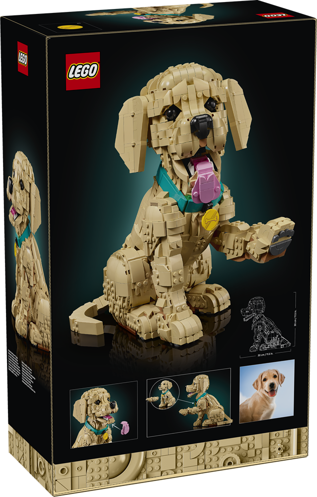 LEGO ICONS CUCCIOLO DI GOLDEN RETRIEVER 11384