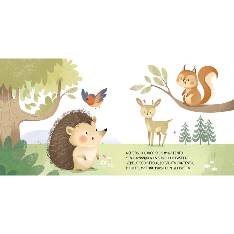 SASSI EDITORE BOARD BOOKS GIORNO E NOTTE - IL BOSCO