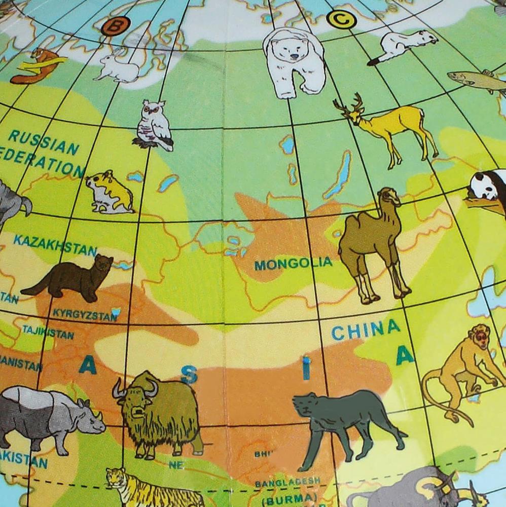 CALY MAPPAMONDO GONFIABILE CON ANIMALI 5937504