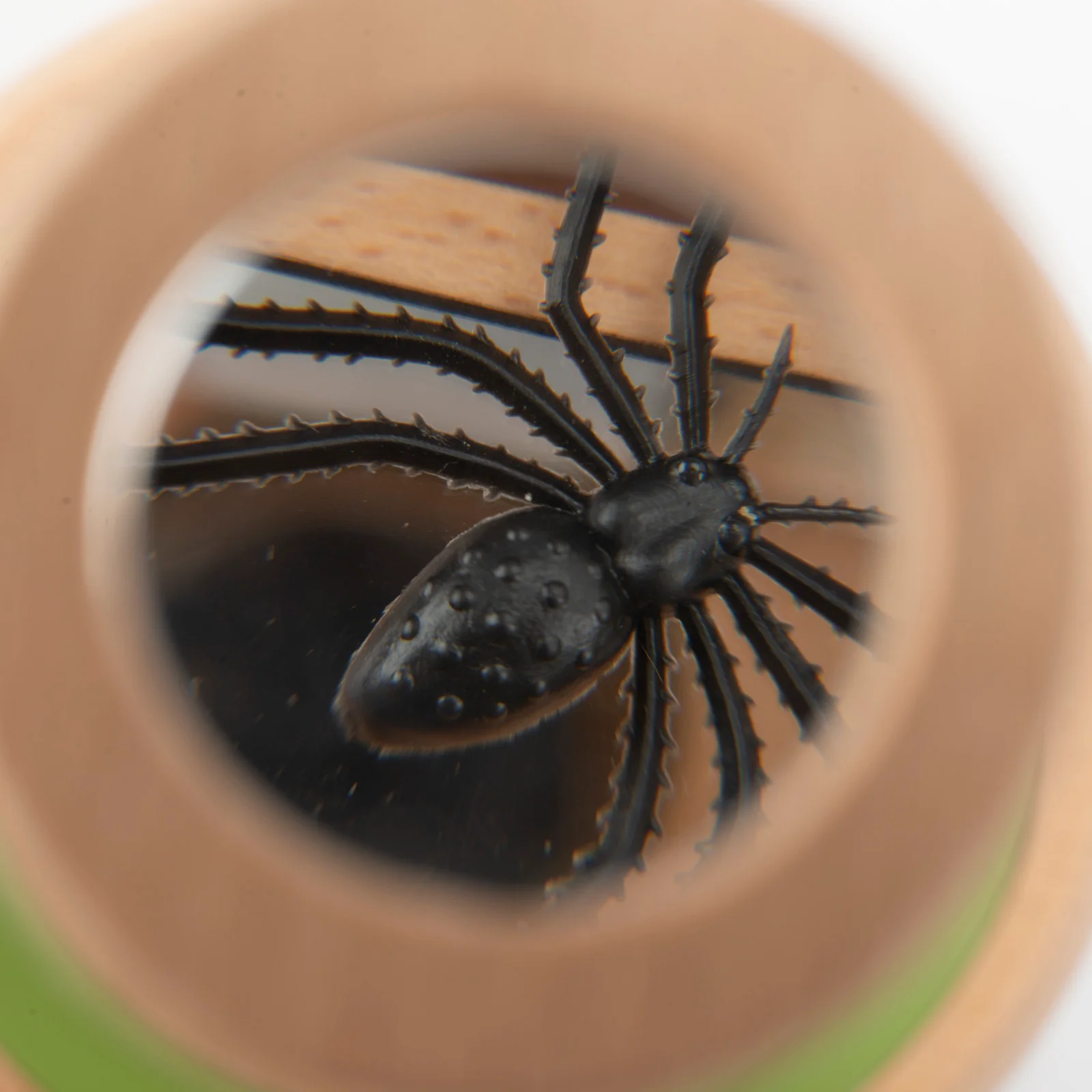 MOULIN ROTY GRANDE SCATOLA DI OSSERVAZIONE LE JARDIN DU MOULIN 712440